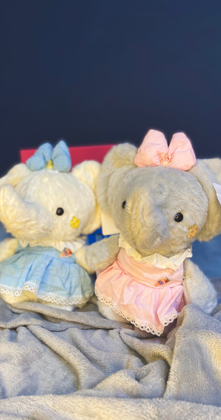 عروسک با لباس صورتی و آبی دختر و پسر