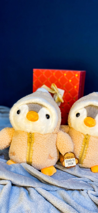 عروسک برای هدیه دخترونه