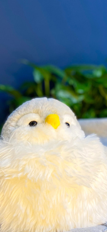 عروسک پنگوئن برای هدیه بچه و نوزاد