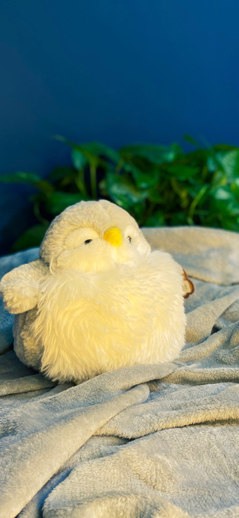 پنگوئن خپل برای هدیه دخترونه