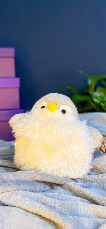 خرید عروسک فانتزی و بامزه خارجی اصل