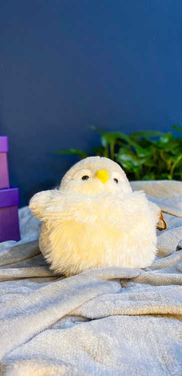 عروسک دخترونه جذاب شکل پنگوئن