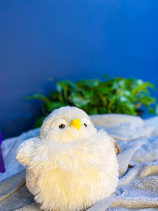 عروسک پنگوئن پشمالو و خپل