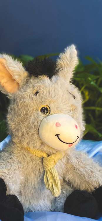 خرید عروسک الاغ برای هدیه