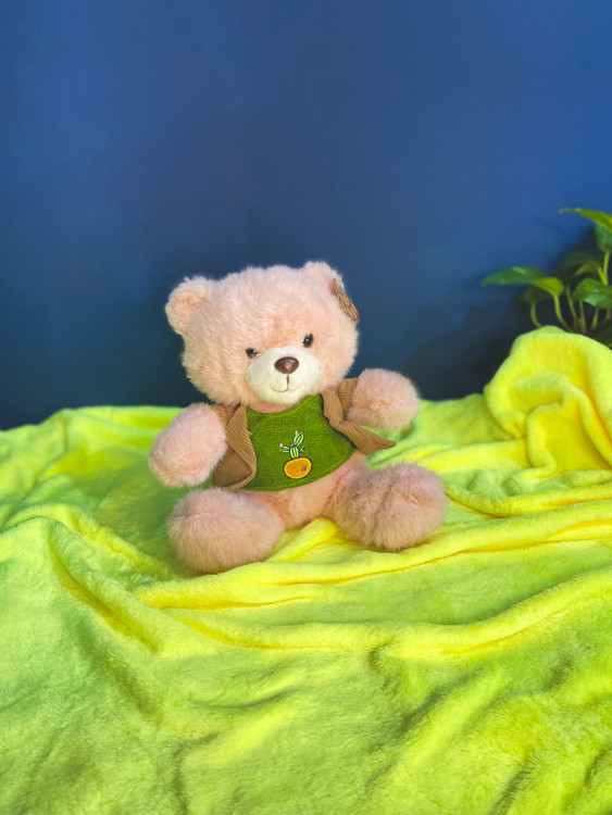 عروسک خرس لباس دار