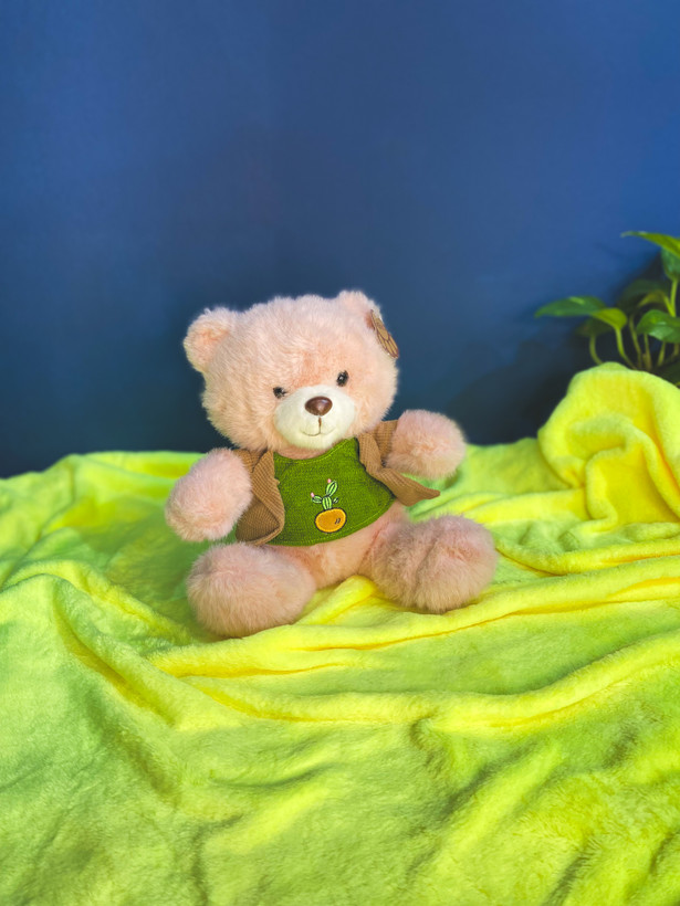 عروسک خرس لباس دار