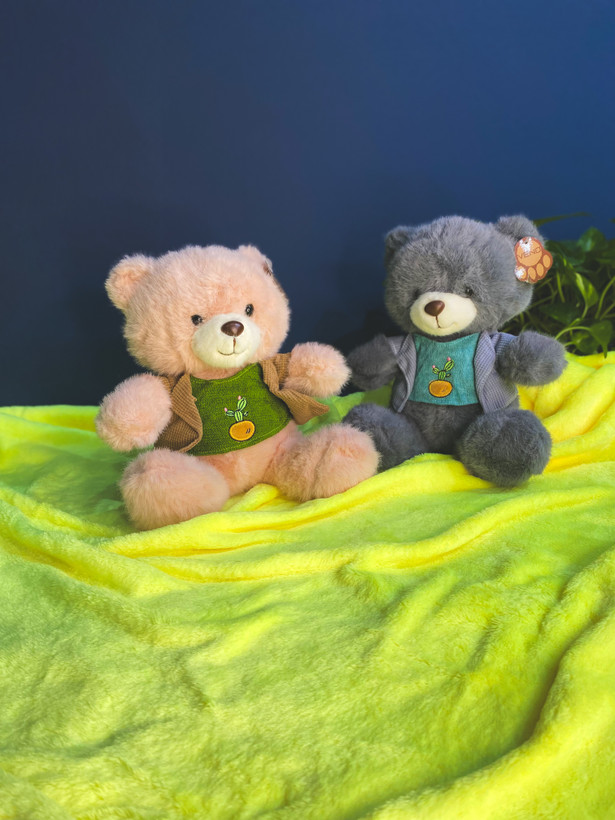 عروسک خرس کوچک