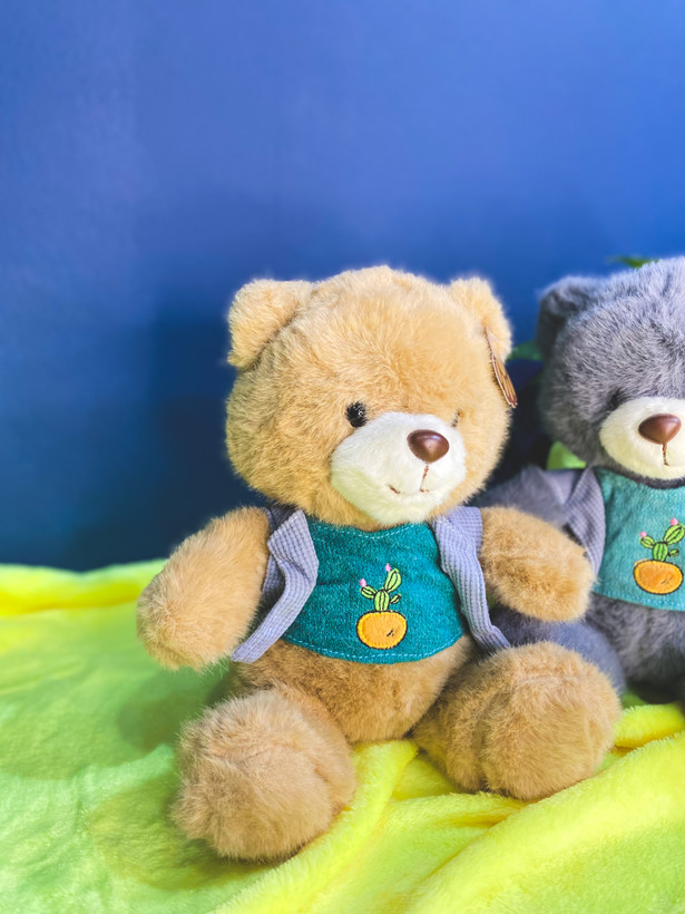 عروسک برای هدیه