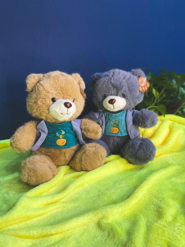 عروسک خرس ست