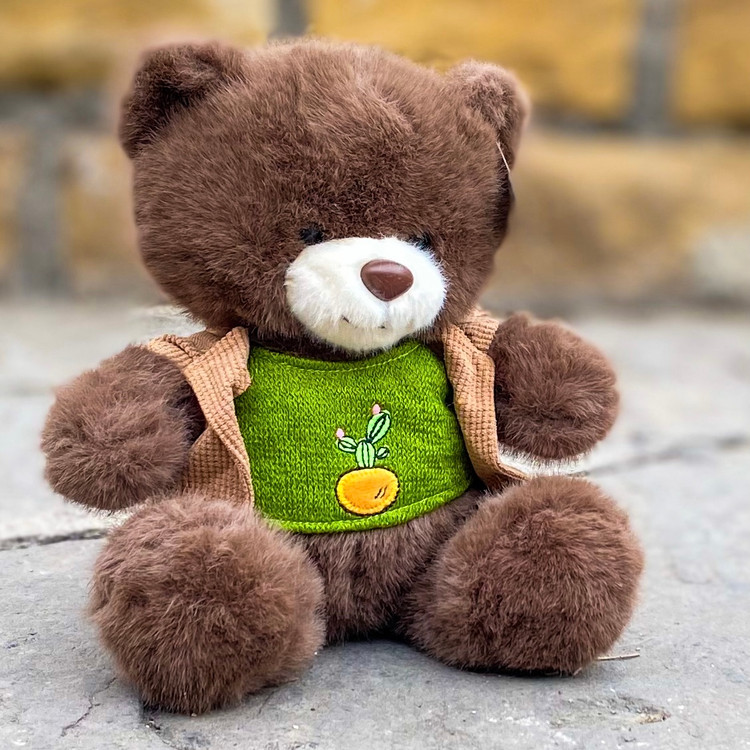 خرید آنلاین عروسک خارجی خرسی