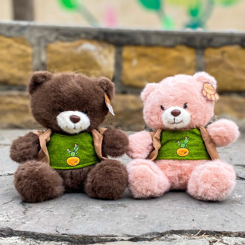 خرید آنلاین عروسک خرسی