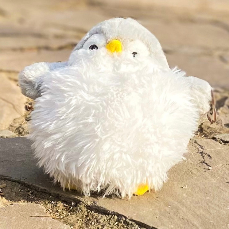 خرید آنلاین عروسک پنگوئن خپل