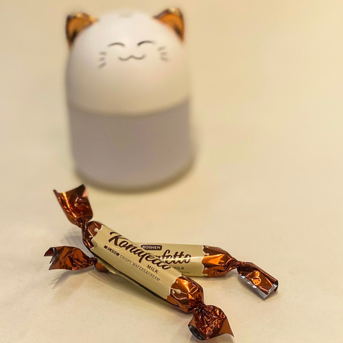 ویفر شکلاتی کونافتو شرکت روشن اوکراین