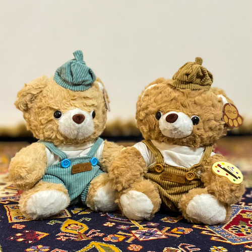 عروسک خرس نقاش برای هدیه تولد